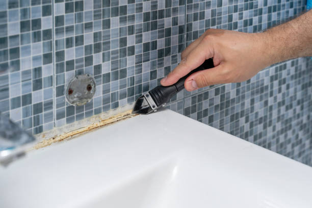 Coon Rapids, MN Mold Removal Company