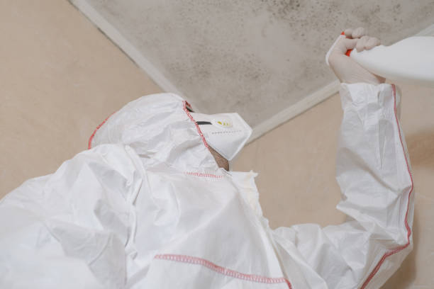 Best Commercial Mold Removal  in Coon Rapids, MN